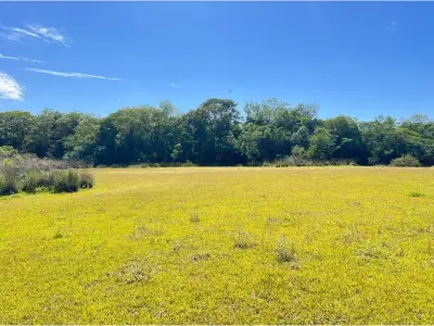 Terreno de 13 hectáreas en venta en Itacurubí de la Cordillera 4