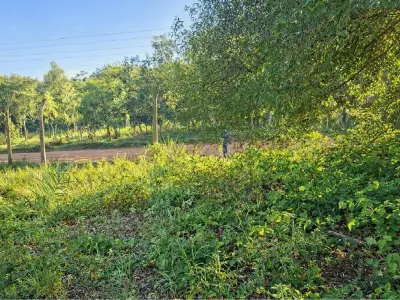 Terreno à venda com 13.910 m² em Aquino Cañada, Caacupé 2