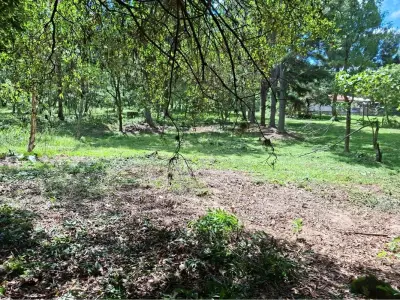 Terreno à venda com 13.910 m² em Aquino Cañada, Caacupé 3