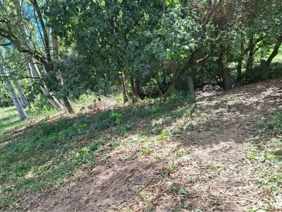 Terreno à venda com 13.910 m² em Aquino Cañada, Caacupé 4