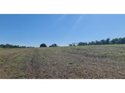 14 ha land for sale in Itacurubí del Rosario 3