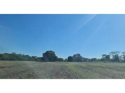 14 ha land for sale in Itacurubí del Rosario 4