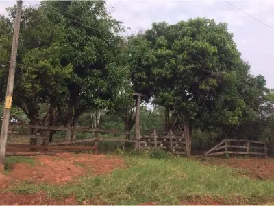 1.4-hectare land for sale in Santaní 2