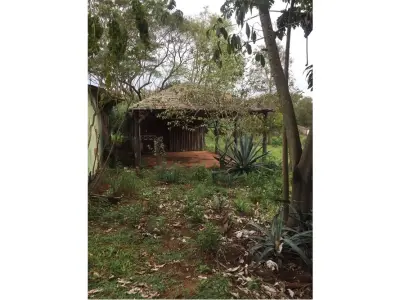 1.4-hectare land for sale in Santaní 4
