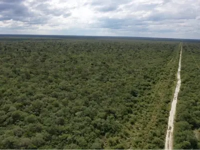 Terreno de 14.086 ha à venda em Bahía Negra, Alto Paraguai 2