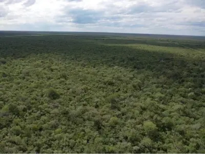 Terreno de 14.086 ha à venda em Bahía Negra, Alto Paraguai 5