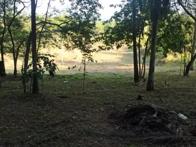 Terreno de 14.300 m² na colina de San Bernardino 3