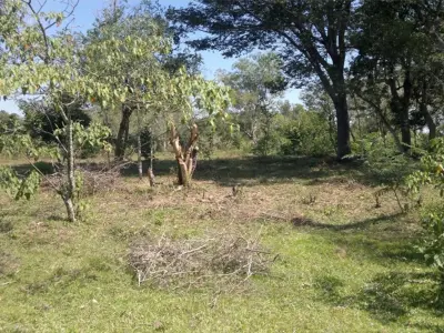 Land for sale in Itacurubí de la Cordillera, 1,440 m² 3