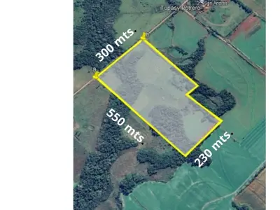 15-hectare land for sale in Carmen del Paraná 2