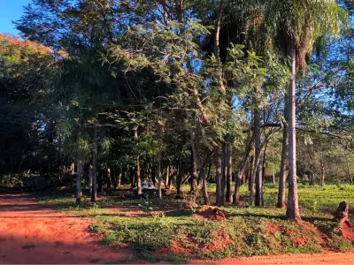 Terreno de 1.551 m² à venda em Itauguá, Central 3