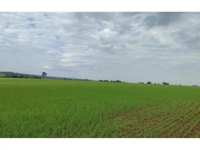 Terreno de 16 hectáreas en venta junto al aeropuerto de Encarnación 3