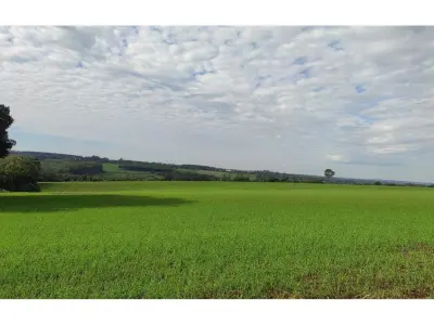 Terreno de 16 hectáreas en venta junto al aeropuerto de Encarnación 4