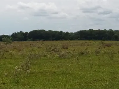 Terreno de 194.824 m² en venta en San Salvador, Guairá 4
