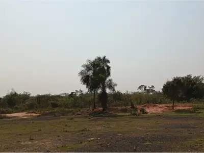 Terreno de 195 hectares à venda em Curuguaty, Canindeyú 3
