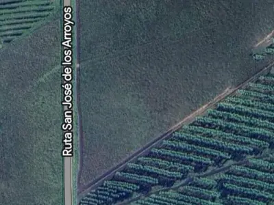 2-hectare land for sale in San José de los Arroyos 3