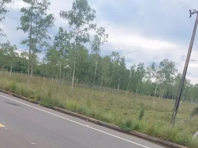 2-hectare land for sale in San José de los Arroyos 5