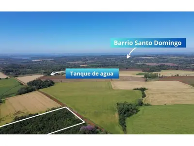 2-hectare land for sale in Santo Domingo, Encarnación 4