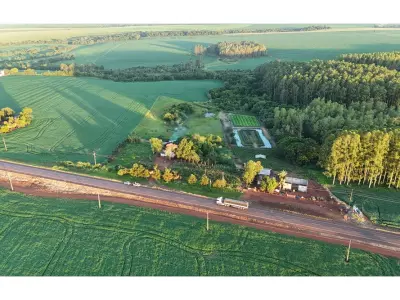 Terreno de 2 hectáreas en venta en Tavapy, Alto Paraná 3