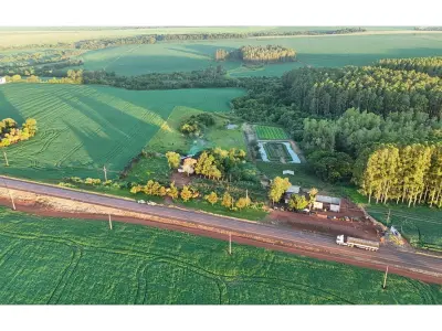 Terreno de 2 hectáreas en venta en Tavapy, Alto Paraná 4