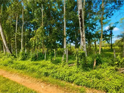 Terreno de 2 hectáreas en venta en Typychaty, Guarambaré 3