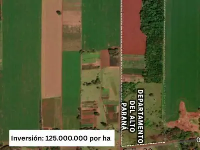 Terreno de 20 hectáreas en venta en Km 30 Acaray, Minga Guazú 2