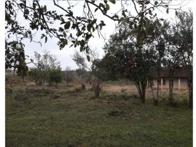 Terreno de 20 hectáreas en venta sobre ruta en Minga Guazú 3
