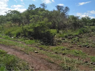 Terreno à venda em Capitán Miranda, 200.000 m² 3