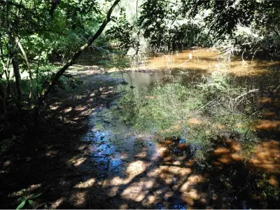 Terreno à venda em Capitán Miranda, 200.000 m² 4