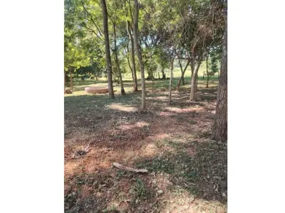 Terreno de 24 hectáreas en venta en Nueva Germania, San Pedro 4