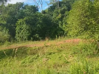 Terreno de 2,5 ha à venda na Rota 2, Coronel Oviedo 2