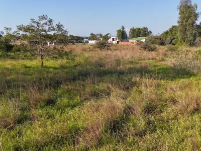 Terreno de 2.606 m² em Surubi-Y, Mariano Roque Alonso 2