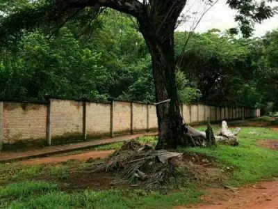 Terreno de 28.000 m² en venta en San Lorenzo - Uso logístico 4