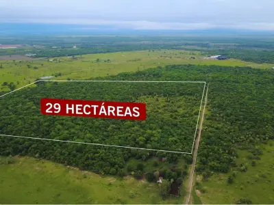 Terreno de 29 ha en venta en Villa Hayes 4