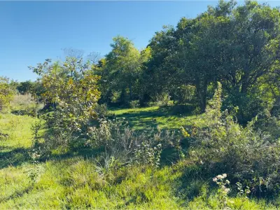 3-hectare land for sale in Cambyretá, Itapúa 2