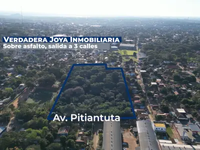 3-Hectare Land for Sale in Fernando de la Mora, South Zone 2
