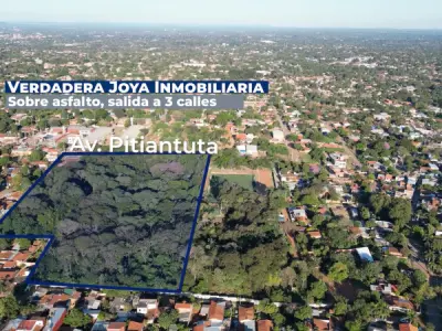 3-Hectare Land for Sale in Fernando de la Mora, South Zone 3