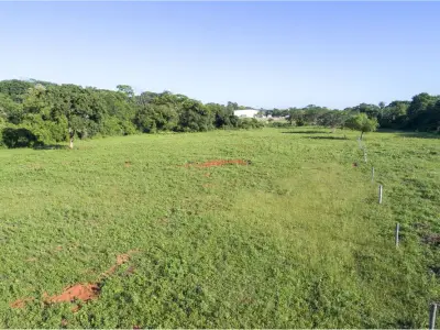 Terreno de 3 hectares à venda em Luque 4