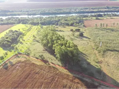 Terreno de 3 hectáreas en venta en Minga Guazú, Alto Paraná 4