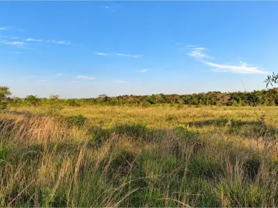 Land for sale in Tobatí, Cordillera – 3 hectares 2