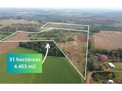 Terreno de 31 hectares à venda em Encarnación 2