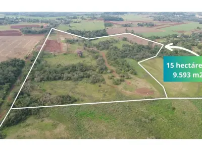 Terreno de 31 hectares à venda em Encarnación 3