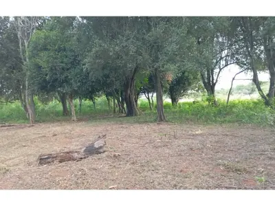 Terreno de 34 ha à venda em José A. Fassardi, Guairá 3