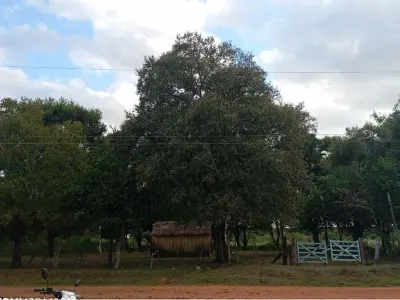 Terreno de 34 ha à venda em José A. Fassardi, Guairá 4