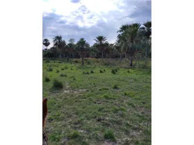 Terreno de 353 hectáreas en venta en Villa Oliva 3