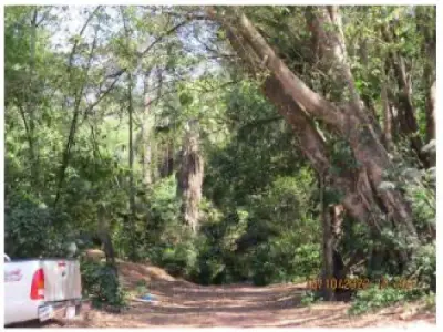 Terreno de 3,6 hectares à venda em Villa Elisa 2