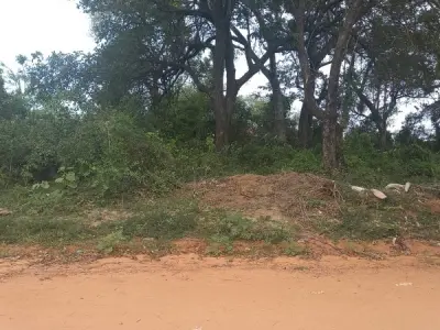Terreno de 364 m² en venta en Limpio 3