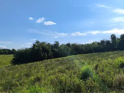 Terreno de 38 hectáreas en venta en Pirapó, Itapúa 2