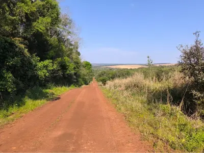 Terreno de 38 hectáreas en venta en Pirapó, Itapúa 3