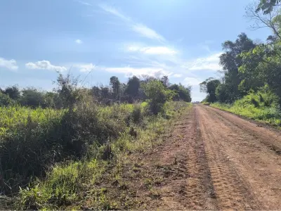 Terreno de 38 hectáreas en venta en Pirapó, Itapúa 4