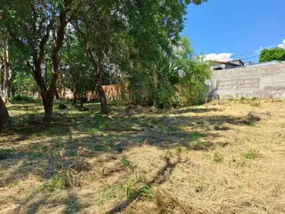 Terreno de 3.902 m² en venta en Villa Elisa, Barrio 29 de Septiembre 3